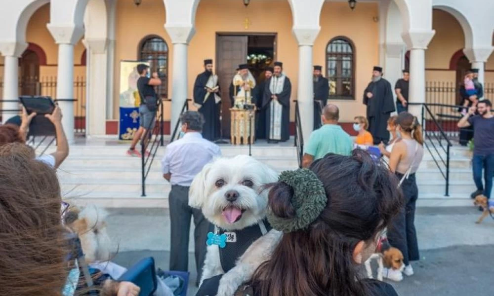 Τα ζωάκια ευλογήθηκαν σήμερα από την Εκκλησία (εικόνες)